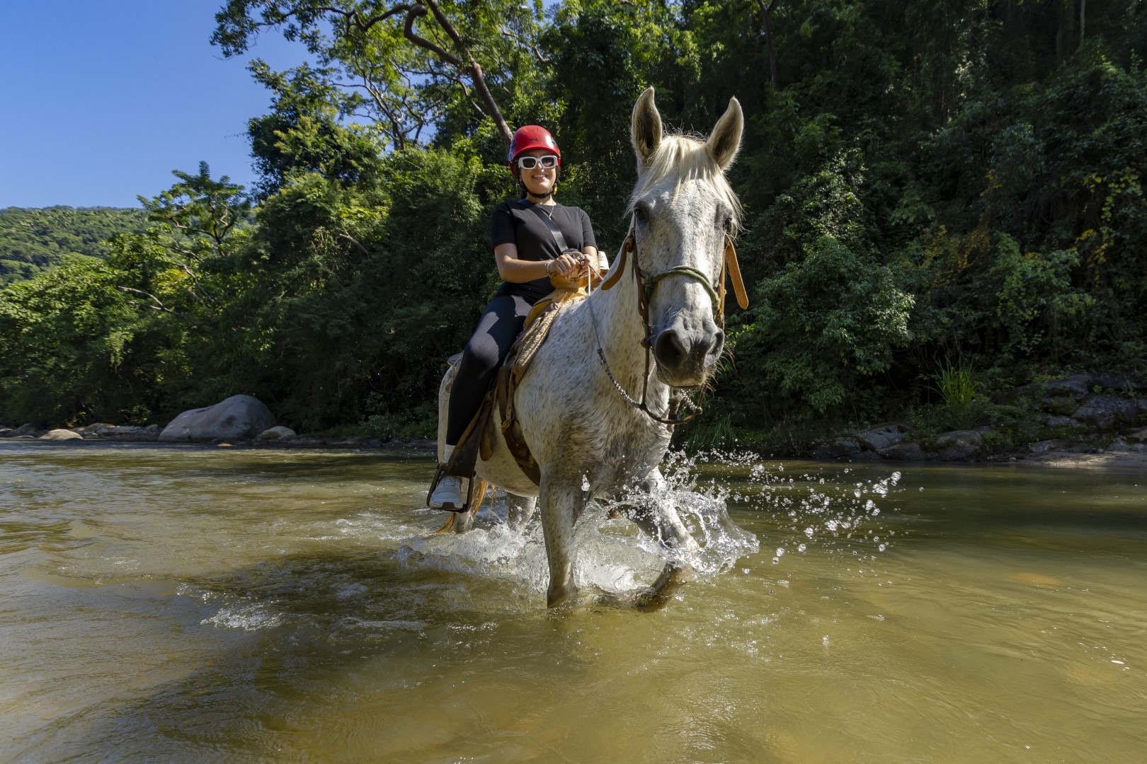 Horseback Riding