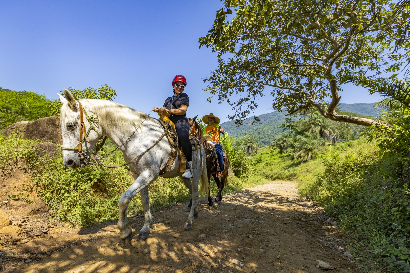 Horseback Riding