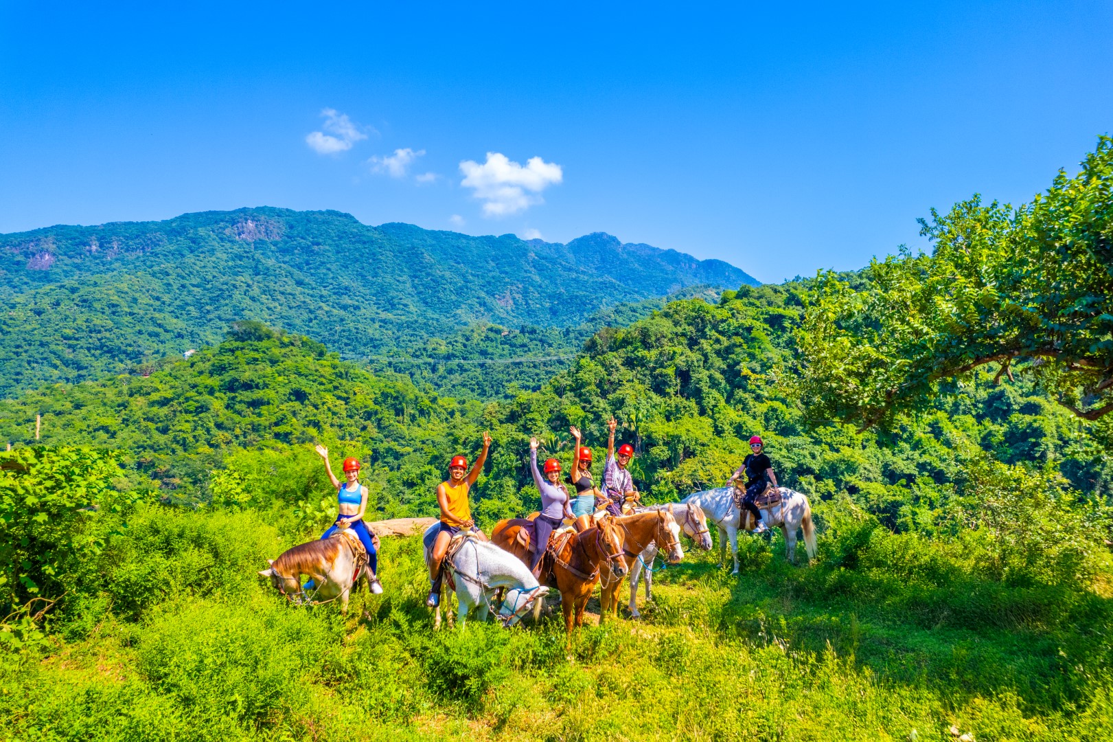 Horseback Riding
