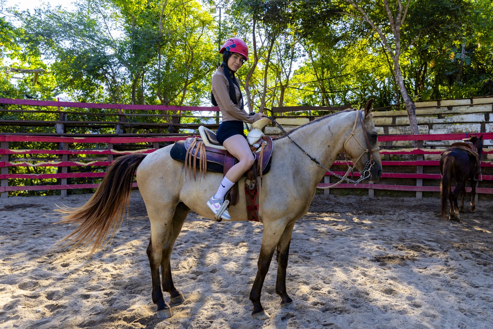 Horseback Riding