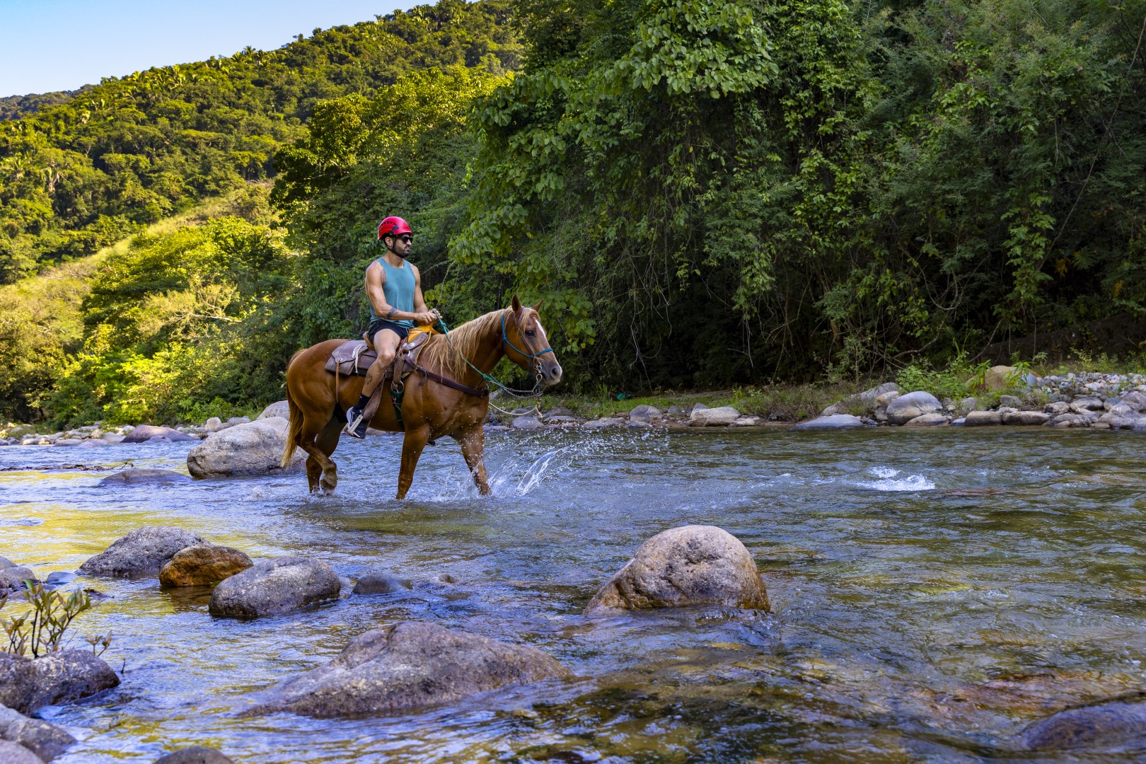 Horseback Riding