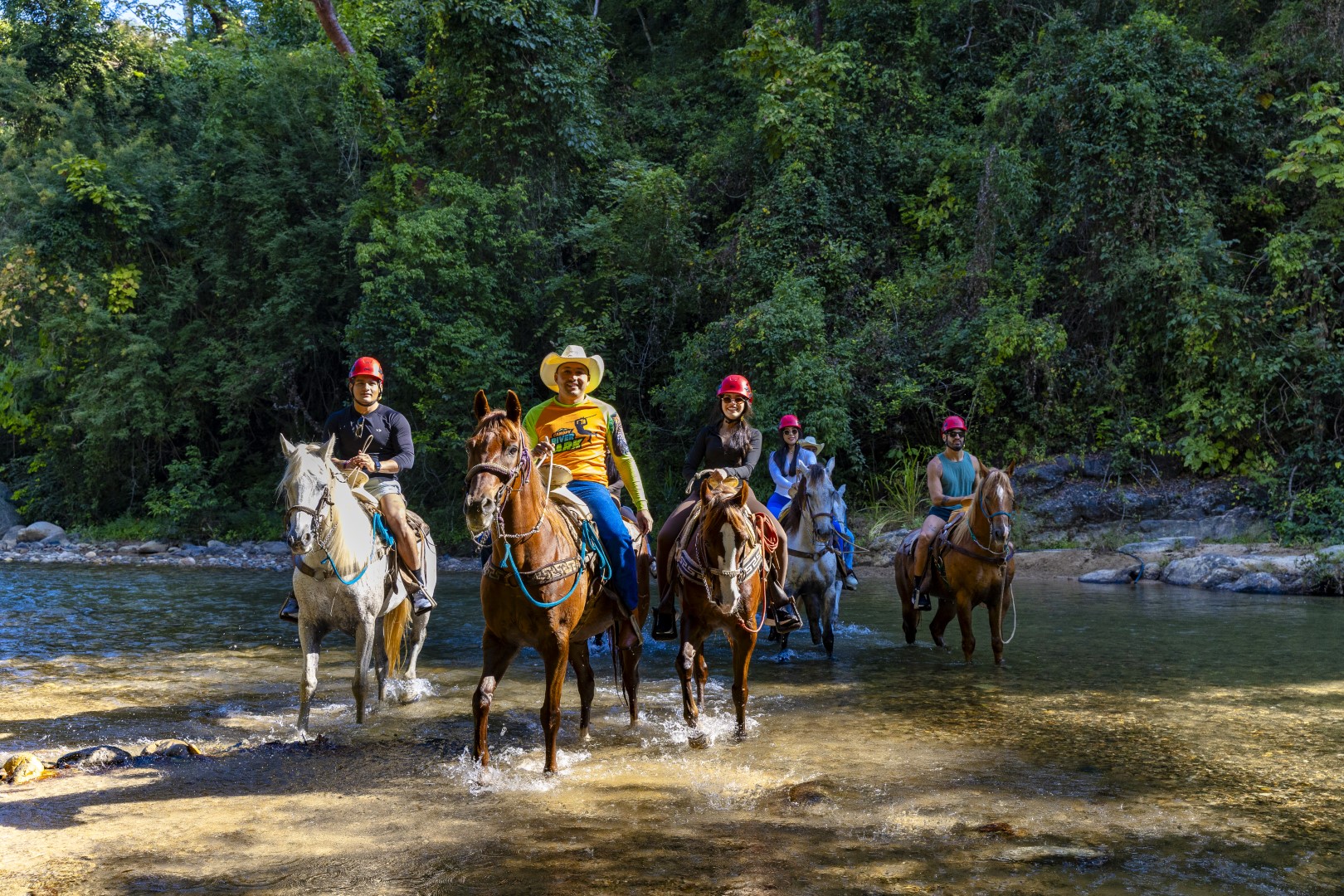 Horseback Riding