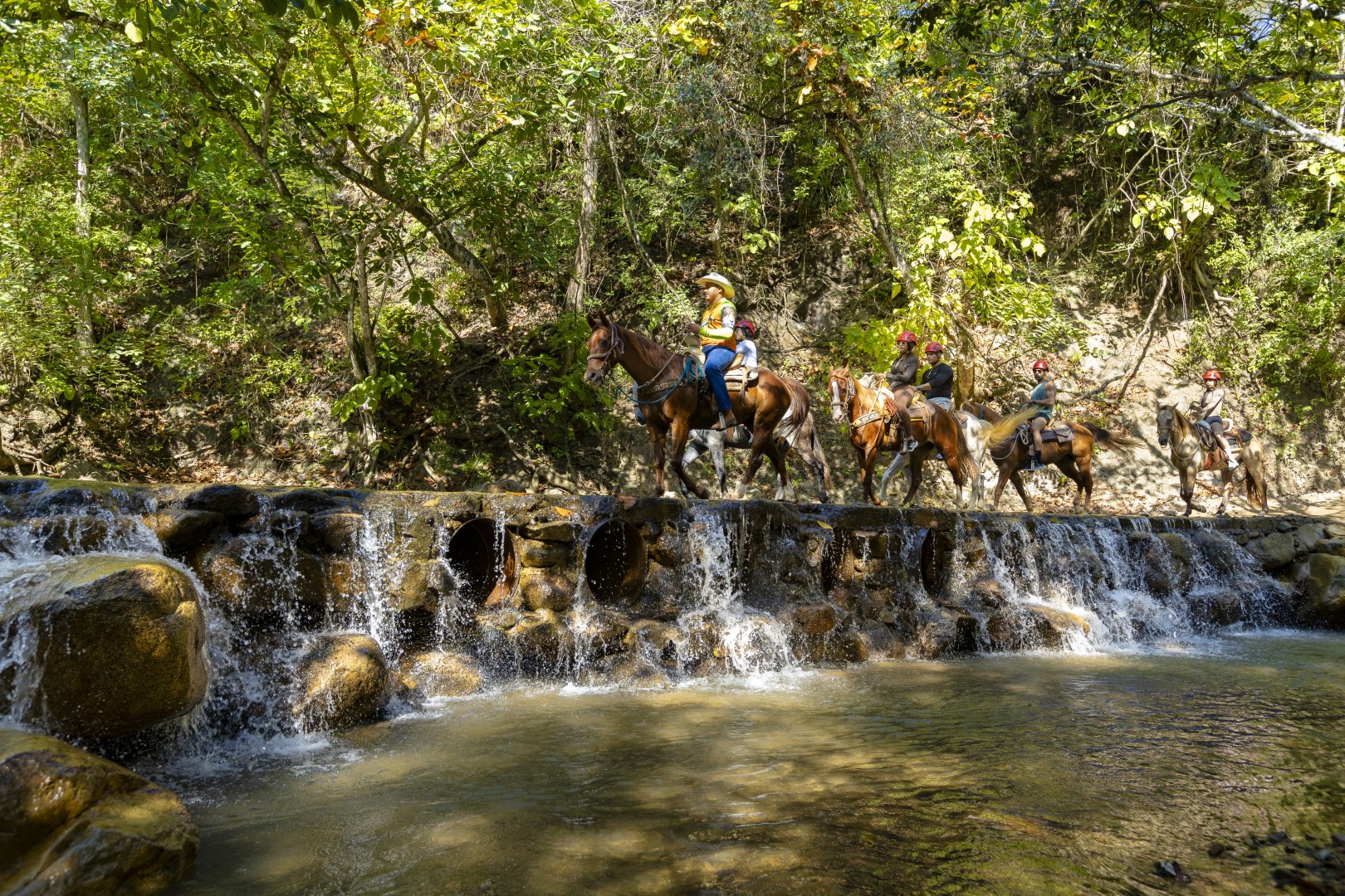 Horseback Riding