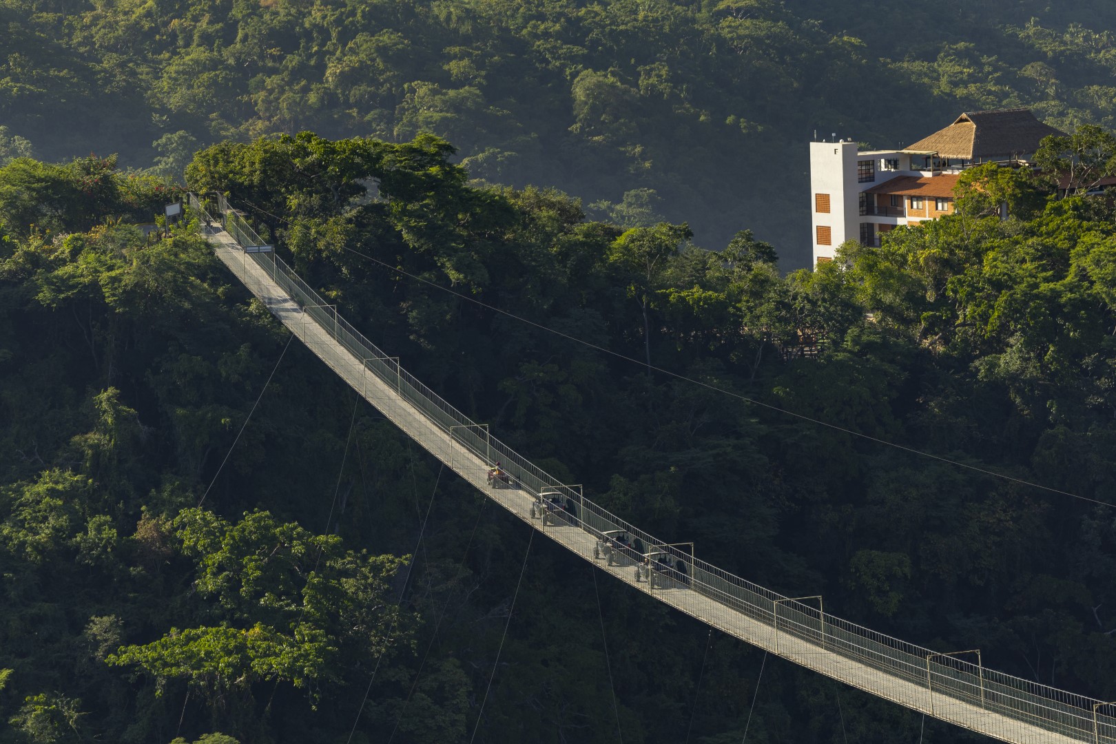 RZR Jorullo Bridge