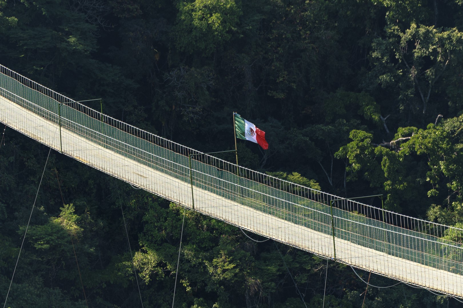 RZR Jorullo Bridge