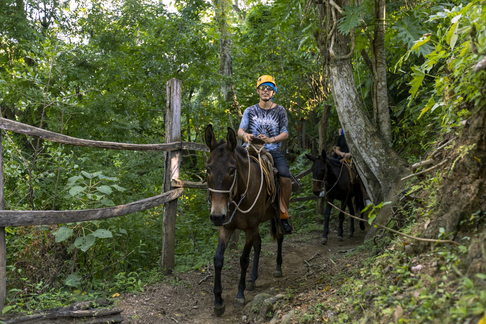 Zipline Bridge Mulas