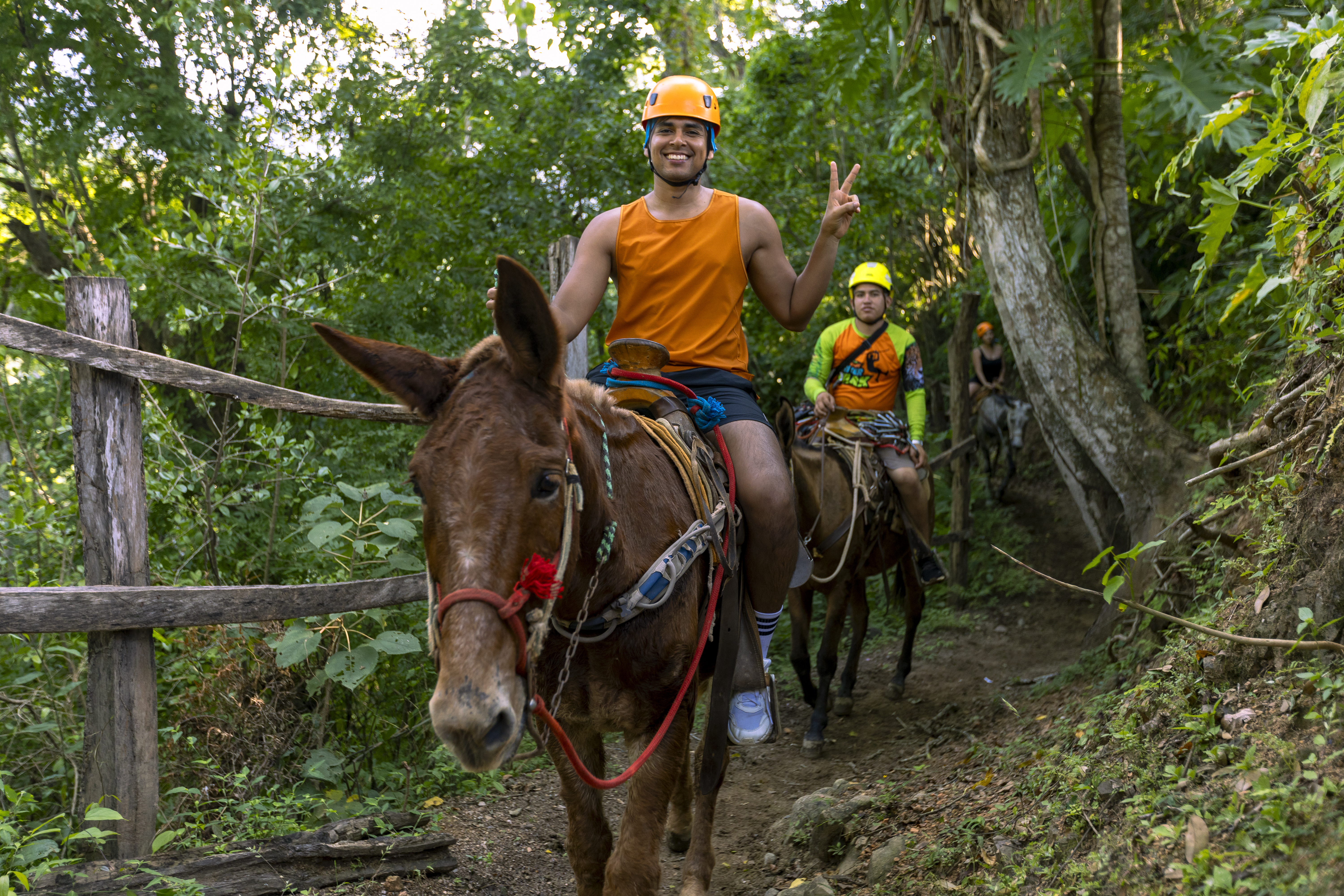Zipline Bridge Mulas