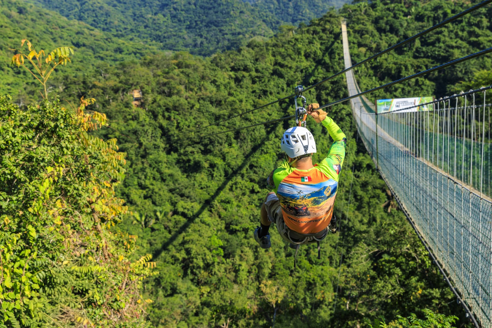 Zipline Bridge Mulas