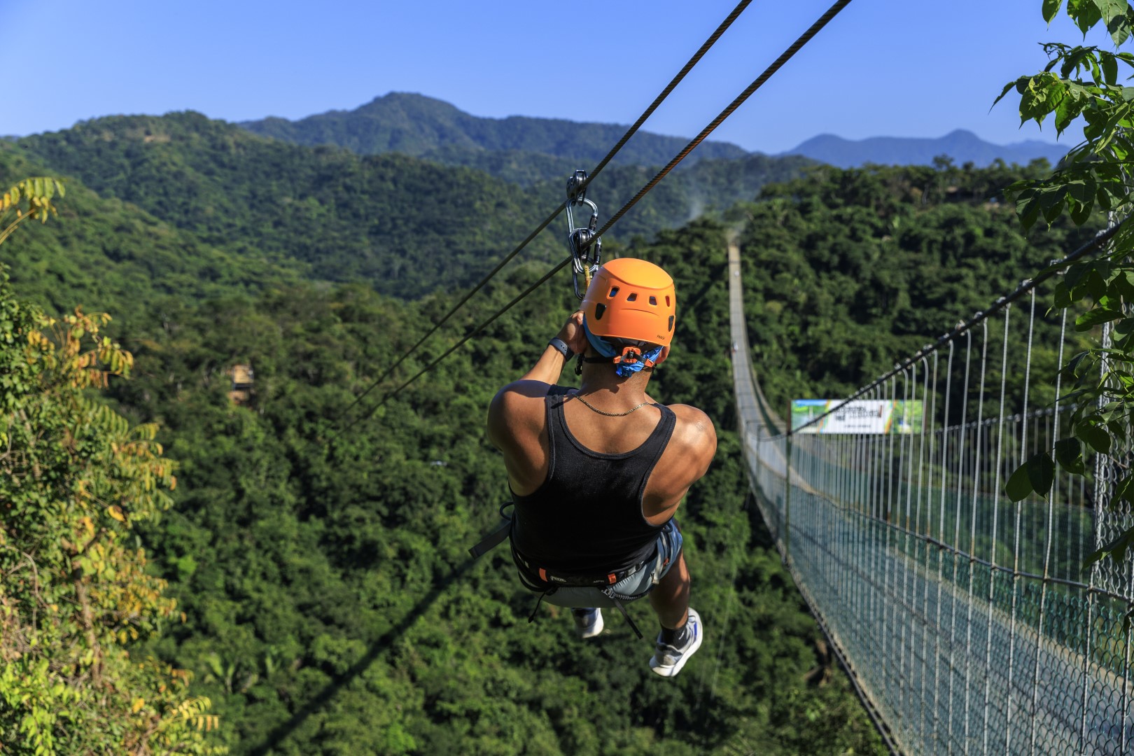 Zipline Bridge Mulas
