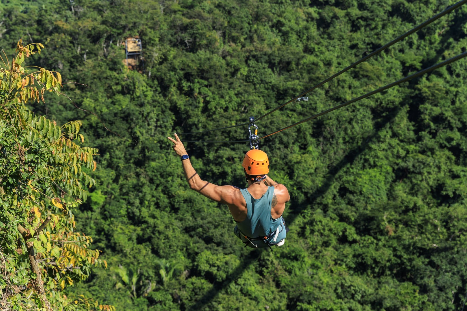 Zipline Bridge Mulas