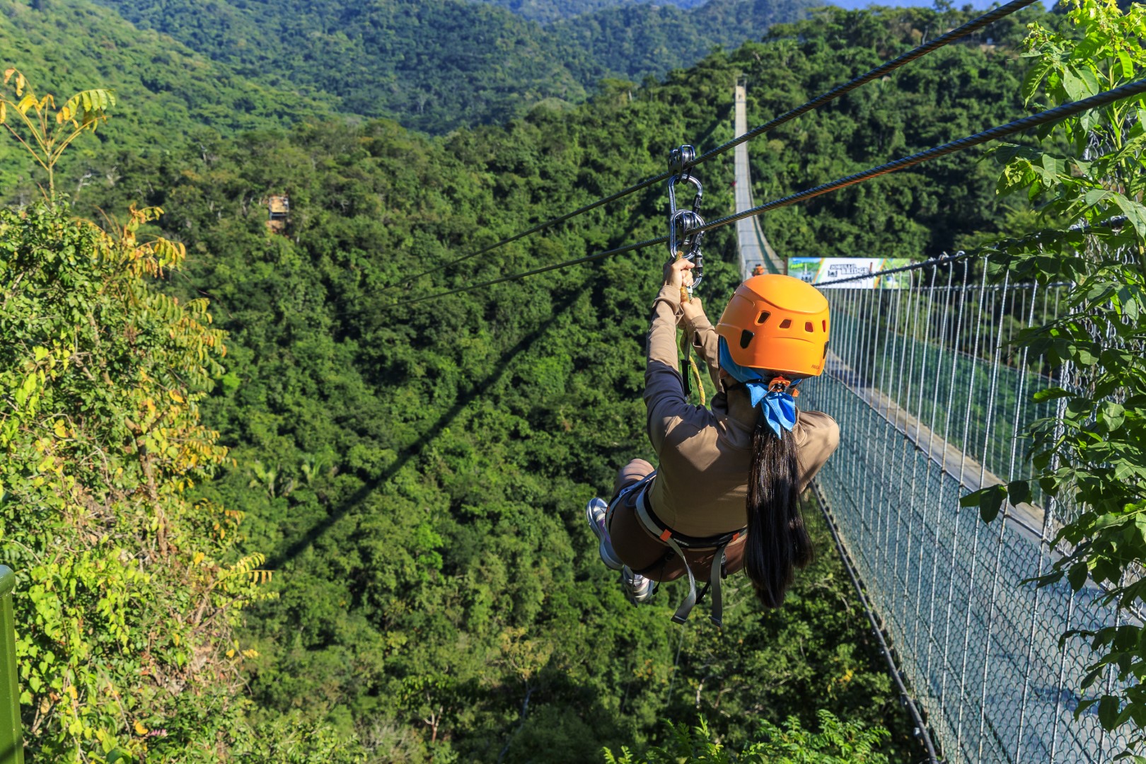 Zipline Bridge Mulas