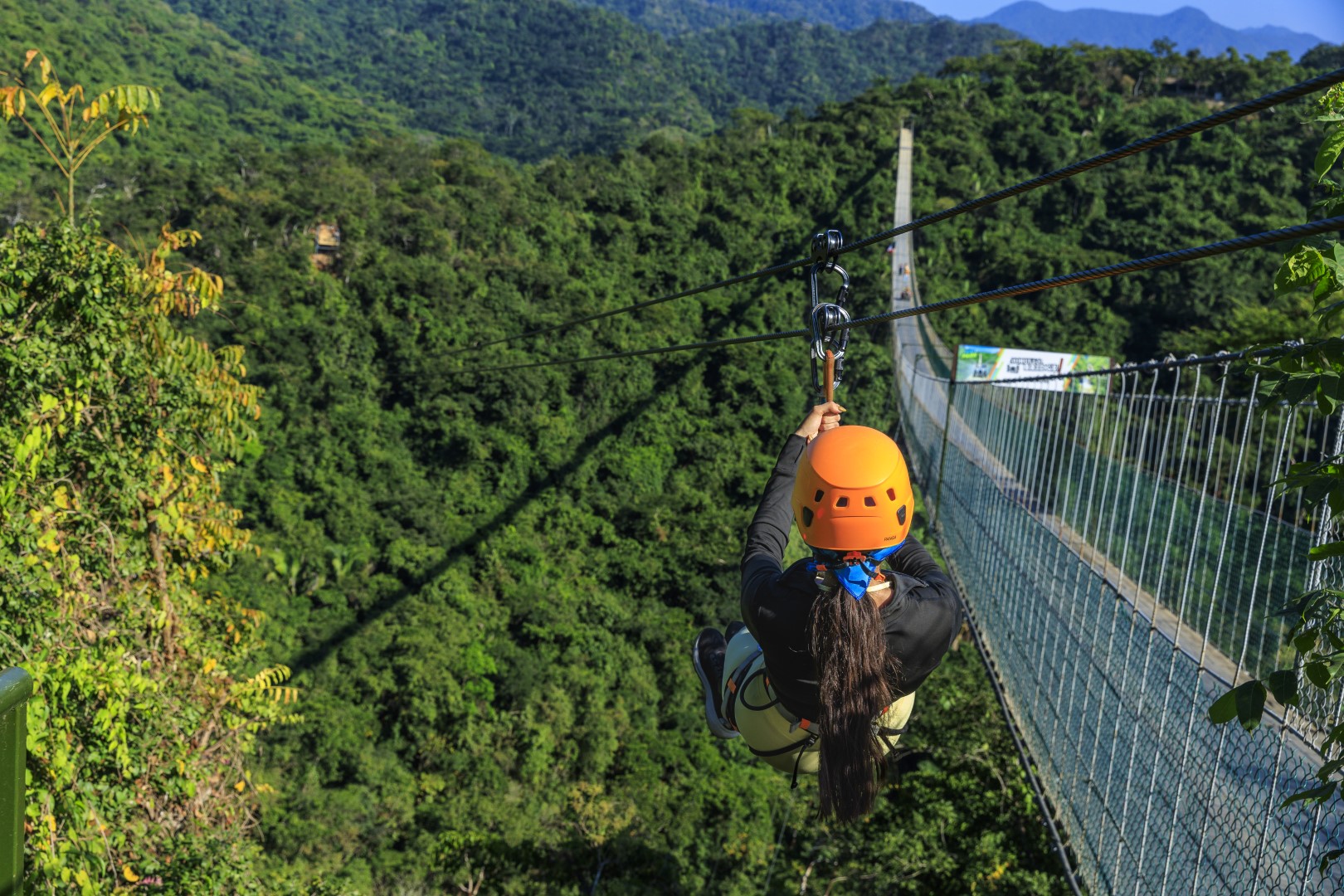 Zipline Bridge Mulas