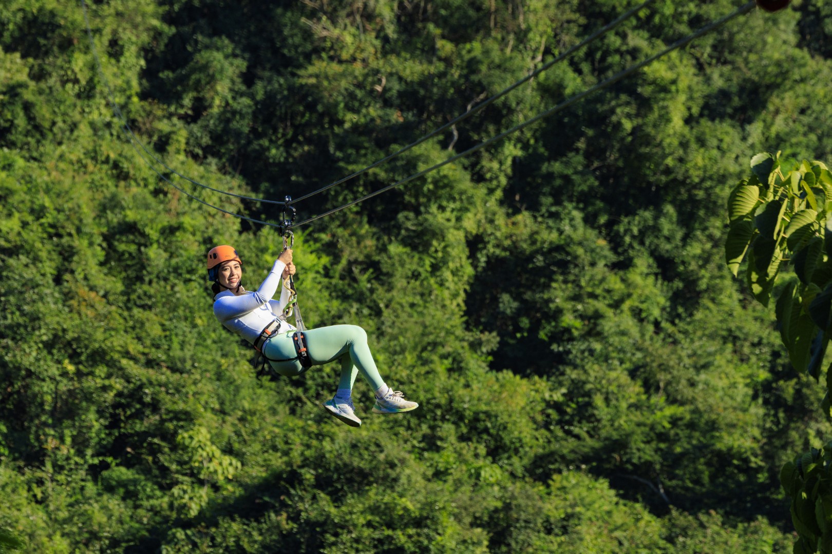 Zipline Bridge Mulas