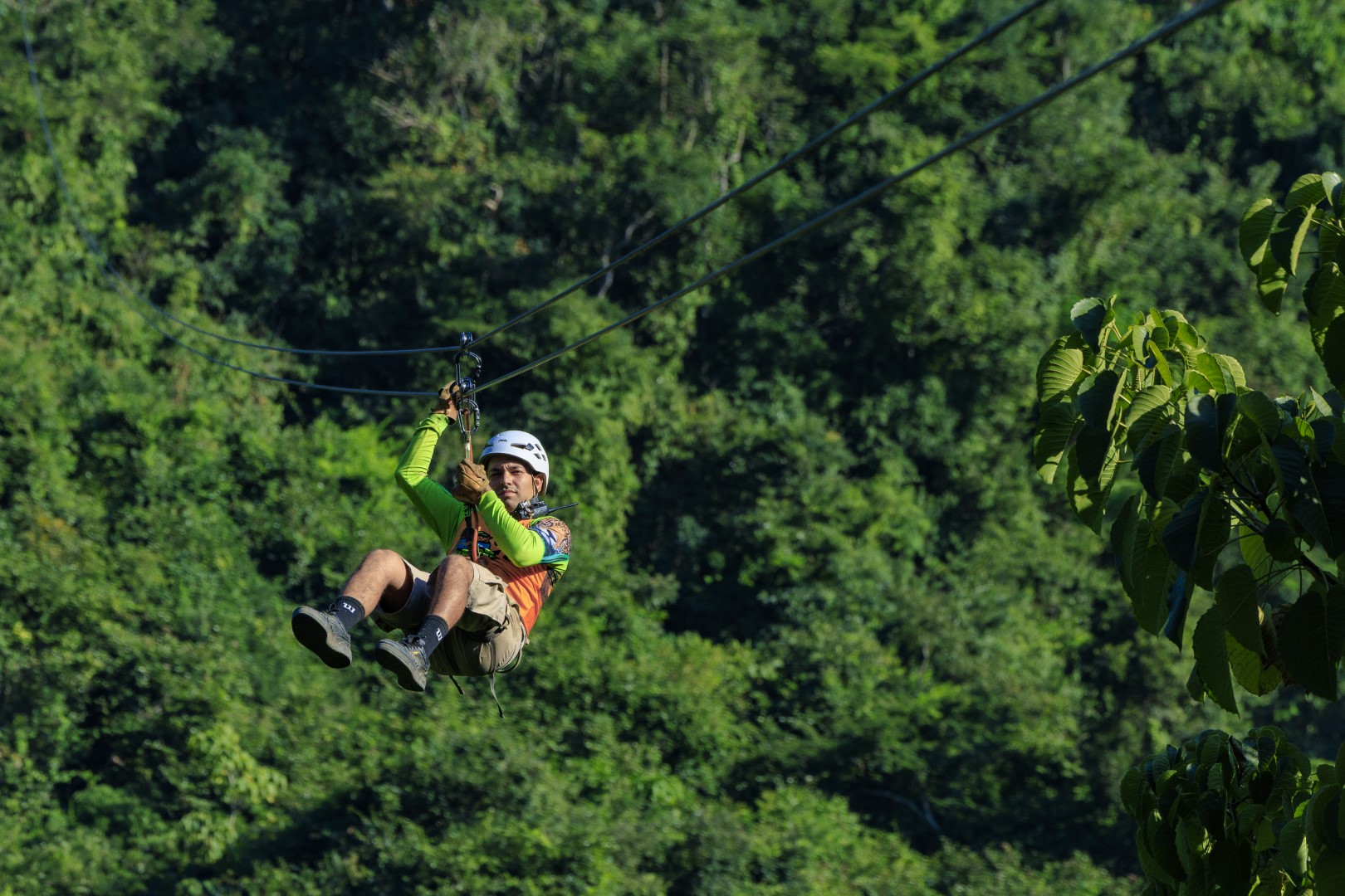 Zipline Bridge Mulas